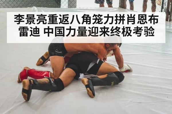 李景亮重返八角笼力拼肖恩布雷迪 中国力量迎来终极考验