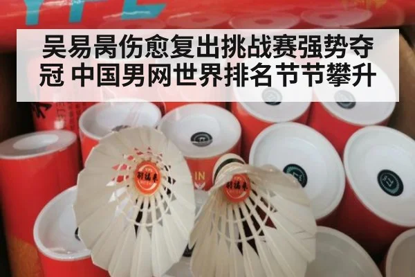 吴易昺伤愈复出挑战赛强势夺冠 中国男网世界排名节节攀升